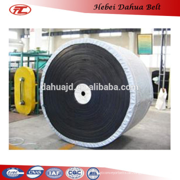 DHT-123 cold resistant conveyor belts belt/roller conveyor system